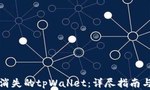 如何找回消失的tpWallet:详尽指南与解决方案