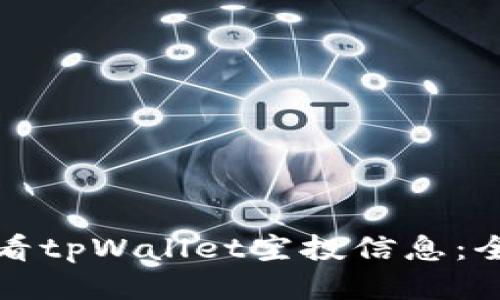 如何查看tpWallet空投信息:全面指南