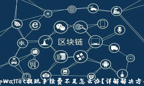 tpWallet提现手续费不足怎么办?详解解决方案
