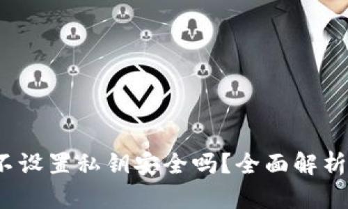 tpWallet:不设置私钥安全吗?全面解析及解决方案