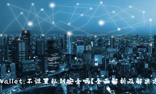 tpWallet:不设置私钥安全吗?全面解析及解决方案