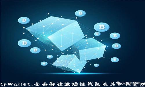 tpWallet:全面解读波场链钱包及其私钥管理
