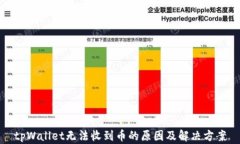 tpWallet无法收到币的原因及解决方案