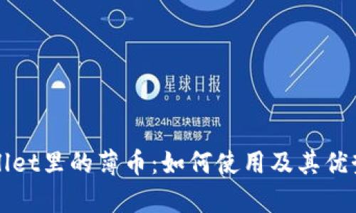 tpWallet里的薄币:如何使用及其优势解析