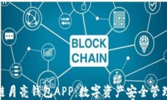 探索区块链月亮钱包APP：数字资产安全管理的新