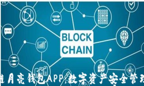 探索区块链月亮钱包APP:数字资产安全管理的新时代