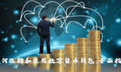 如何选择和使用数字货币钱包：全面指