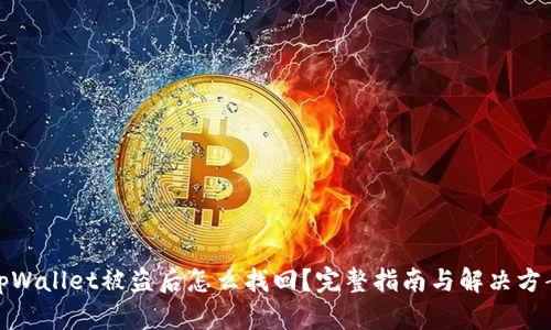 tpWallet被盗后怎么找回?完整指南与解决方案
