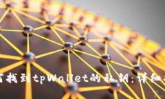如何找到tpWallet的私钥：详细指南
