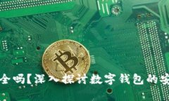 tpWallet安全吗？深入探讨数字钱包的安