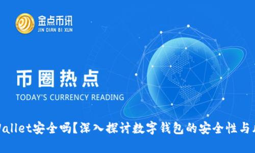tpWallet安全吗?深入探讨数字钱包的安全性与风险