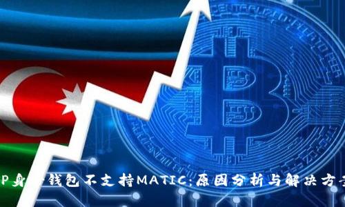 TP身份钱包不支持MATIC:原因分析与解决方案