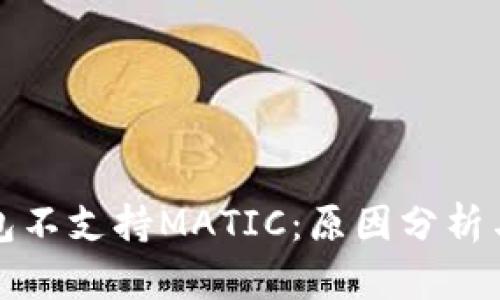 TP身份钱包不支持MATIC:原因分析与解决方案