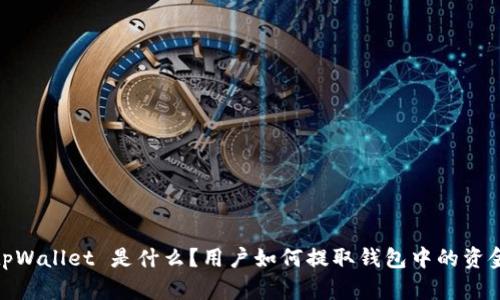 tpWallet 是什么?用户如何提取钱包中的资金