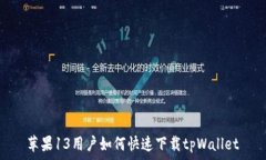   苹果13用户如何快速下载tpWallet