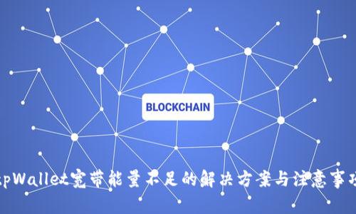 tpWallet宽带能量不足的解决方案与注意事项