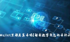 tpWallet里都是真币吗？解析数字钱包的