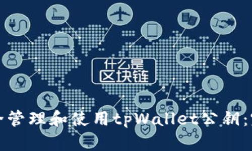 如何安全管理和使用tpWallet公钥:完整指南