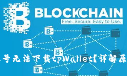 为什么海外账号无法下载tpWallet?详解原因及解决方法