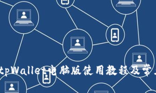 详细解读:tpWallet电脑版使用教程及常见问题解析