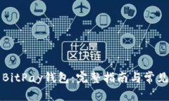 如何下载BitPay钱包：完整指南与常见问