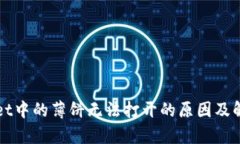 tpWallet中的薄饼无法打开的原因及解决
