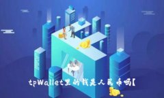 tpWallet里的钱是人民币吗？