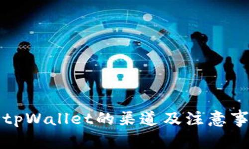 提币到tpWallet的渠道及注意事项解析