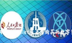 如何在tpWallet查看您购买的数字货币