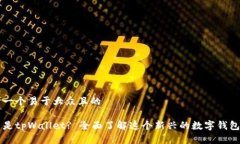 思考一个易于大众且的什么是tpWallet