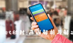 tpWallet被封：原因解析与解决方案