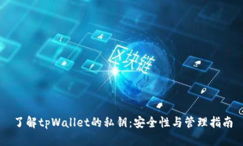 了解tpWallet的私钥:安全性与管理指南
