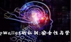 了解tpWallet的私钥：安全性与管理指南