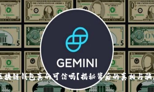 区块链钱包真的可信吗?揭秘背后的真相与骗局
