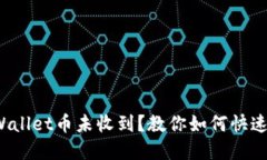 : tpWallet币未收到？教你如何快速找回