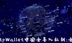 如何在tpWallet中安全导入私钥：全面指