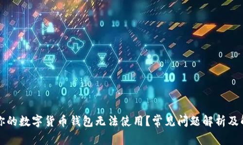 为什么你的数字货币钱包无法使用?常见问题解析及解决方案