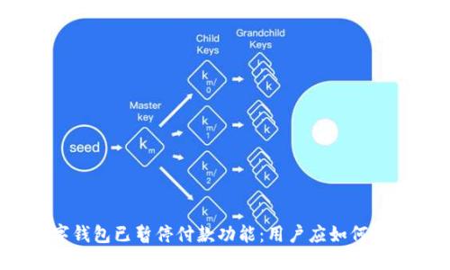数字钱包已暂停付款功能：用户应如何应对？
