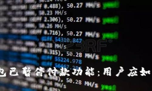 数字钱包已暂停付款功能：用户应如何应对？