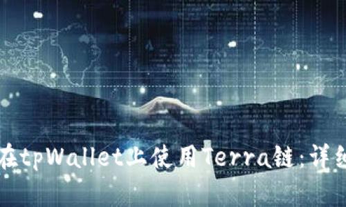 如何在tpWallet上使用Terra链：详细指南