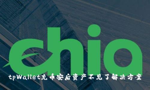 tpWallet充币安后资产不见了解决方案
