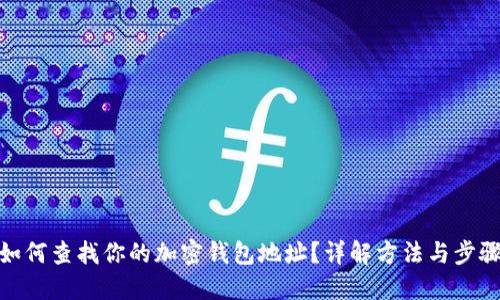 如何查找你的加密钱包地址?详解方法与步骤