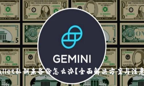 tpWallet私钥未备份怎么办？全面解决方案与注意事项