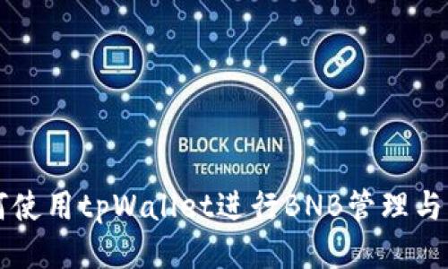 如何使用tpWallet进行BNB管理与交易