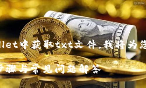 为了帮助用户更好地理解如何在tpWallet中获取txt文件,我将为您提供一个详细的内容大纲和解决方案。
如何在tpWallet中获取txt文件:详细步骤与常见问题解答