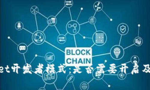tpWallet开发者模式：是否需要开启及其影响