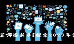 biasititpWallet推荐哪些新币？探索2023年