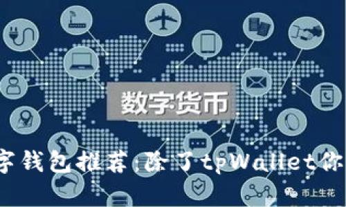 2023年最佳数字钱包推荐:除了tpWallet你还可以选择哪些