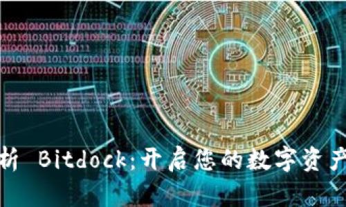 全方位解析 Bitdock:开启您的数字资产管理之路