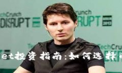 2023年tpWallet投资指南：如何选择币种以